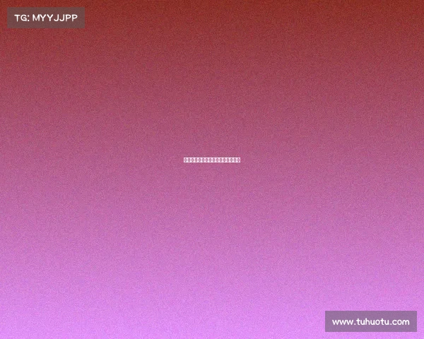 女排重要的赛事女排进行了几场比赛